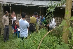 First day of Field Verification carried out by Bordoloibam NSK at Nowboicha Circle in Lakhimpur on 4th November, 2015.