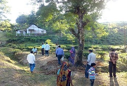 Field Verification conducted under Patharkandi, Nilambazar and Sadar Circle in Karimganj on 25th  Nov, 2015.