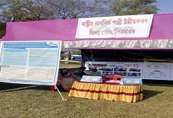 At Rongpur Unnayan Utsav 2015 NRC Cell Sivasagar put up a stall to create awareness on verification proces.