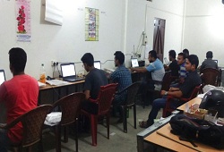 Data entry of verification matters by operators working night shift at NSKs under Balijana Circle, Goalpara - June 2016.